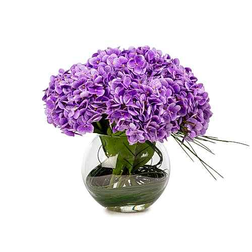 Akvaryum Camda Jelli Islak Dokulu Mor Ortanca Aranjman (30 CM)