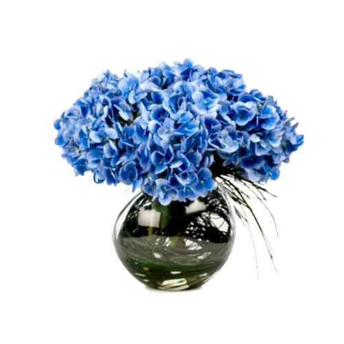 Akvaryum Camda Jelli Islak Dokulu Mavi Ortanca Aranjman (30 CM)