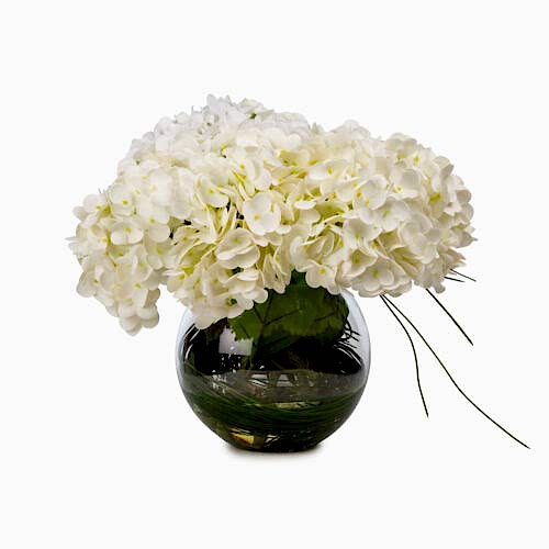 Akvaryum Camda Jelli Islak Dokulu Beyaz Ortanca Aranjman (30 CM)