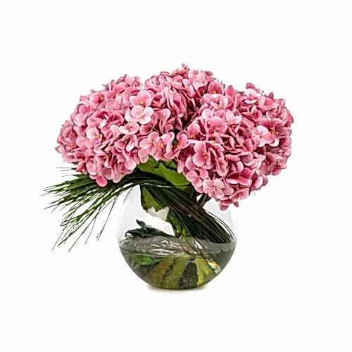 Akvaryum Camda Jelli Islak Dokulu Tozlu Pembe Ortanca Aranjman (30 CM)