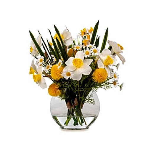 Akvaryum Camda Jelli Islak Dokulu Nergis Aranjman (40 CM)