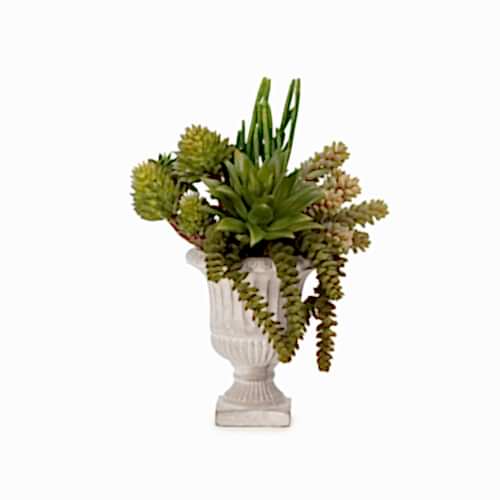 Vintage Kupa Sukkulent Karışık Aranjman (30 CM)