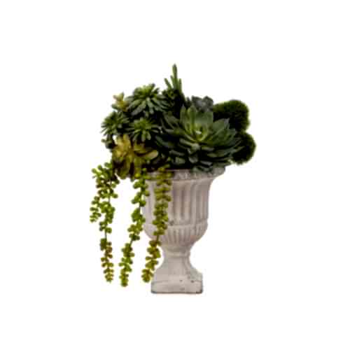 Vintage Kupa Sukkulent Karışık Aranjman (30 CM)