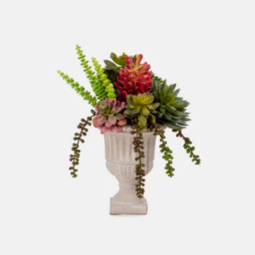 Vintage Kupa Sukkulent Karışık Aranjman (30 CM)