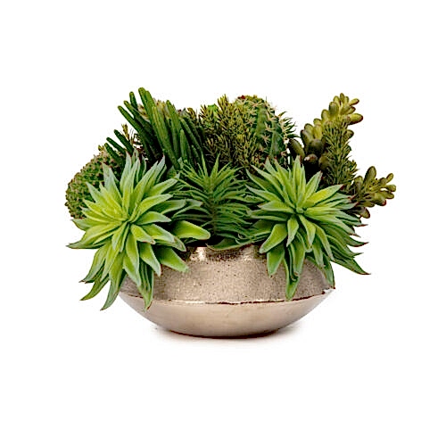 Metal Tabak Sukkulent Aranjman (22 CM)