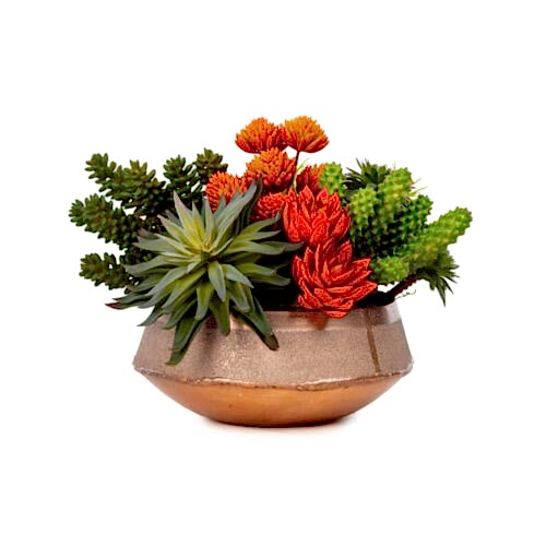 Metal Tabak Sukkulent Aranjman (20 CM)