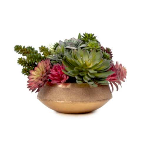 Metal Tabak Sukkulent Aranjman (20 CM)