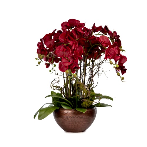 Metal Saksıda Islak Dokulu Bordo Orkide Aranjman (75 CM)