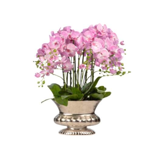 Metal Saksıda Islak Dokulu Pembe Orkide Aranjman (70 CM)