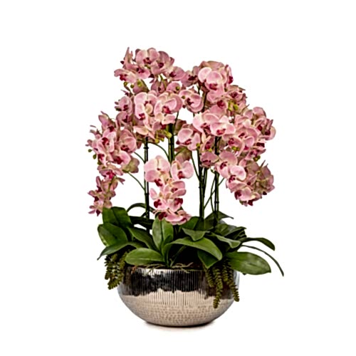 Metal Saksıda Islak Dokulu Pembe Orkide Aranjman (80 CM)