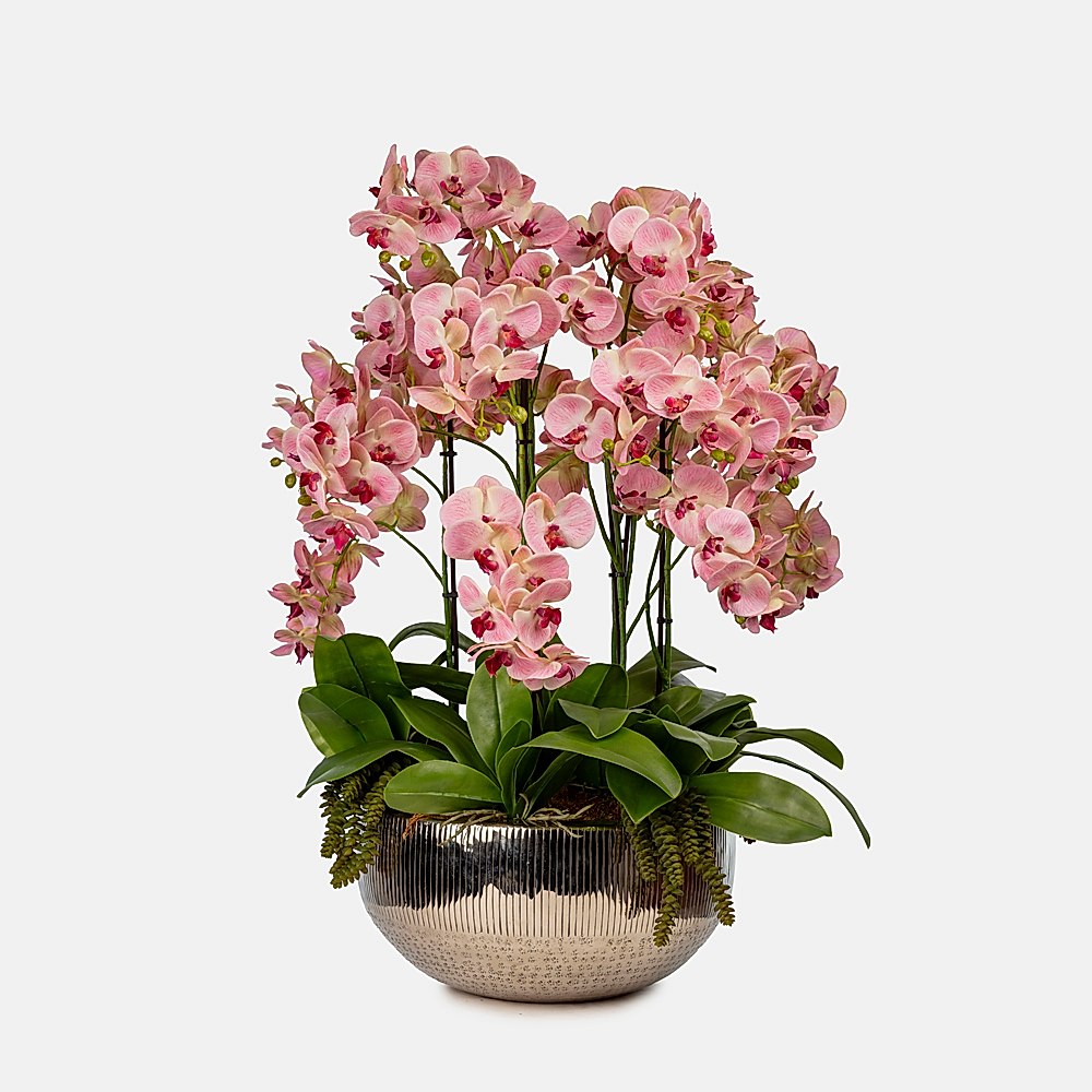 Islak Dokulu Aranjmanlar