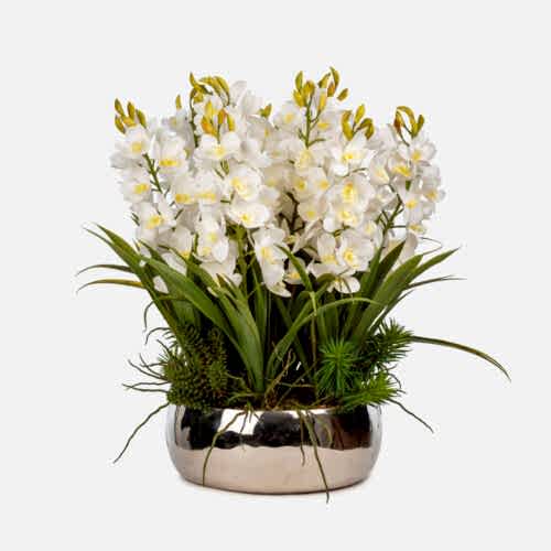 Metal Saksıda Islak Dokulu Beyaz Orkide Aranjman (55 CM)