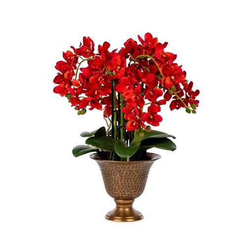 Metal Saksıda Islak Dokulu Turuncu Orkide Aranjman (50 CM)