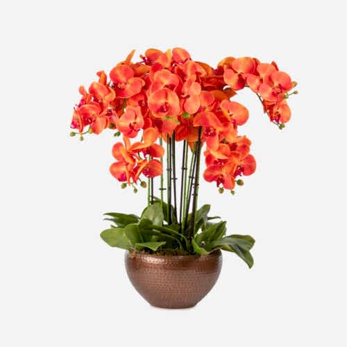 Metal Saksıda Islak Dokulu Turuncu Orkide Aranjman (65 CM)