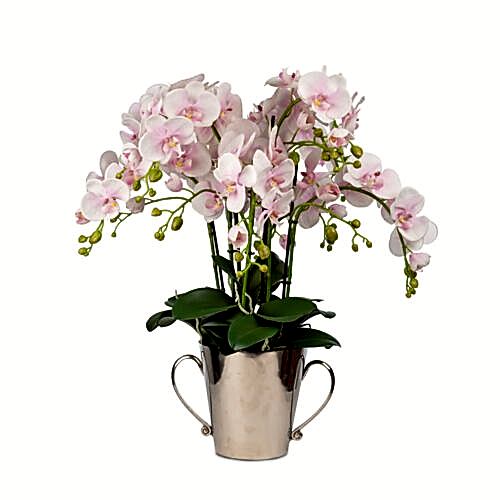 Metal Saksıda Islak Dokulu Pembe Orkide Aranjman (50 CM)
