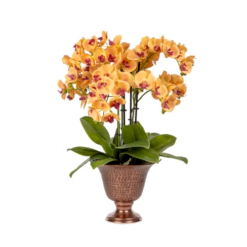 Metal Saksıda Islak Dokulu Sarı Orkide Aranjman (50 CM)