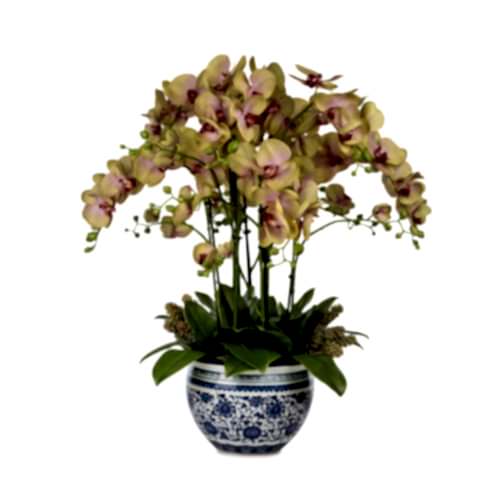 Bleu Blanc Vazo Islak Dokulu Yeşil Orkide Aranjman (70 CM)