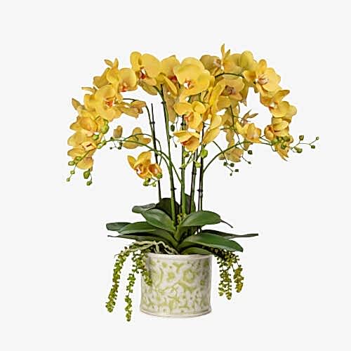 Bleu Blanc Vazo Islak Dokulu Sarı Orkide Aranjman (70 CM)