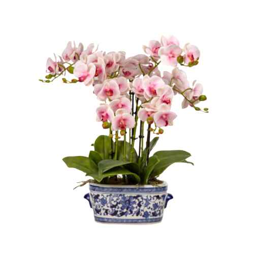 Bleu Blanc Vazo Islak Dokulu Pembe Orkide Aranjman (50 CM)