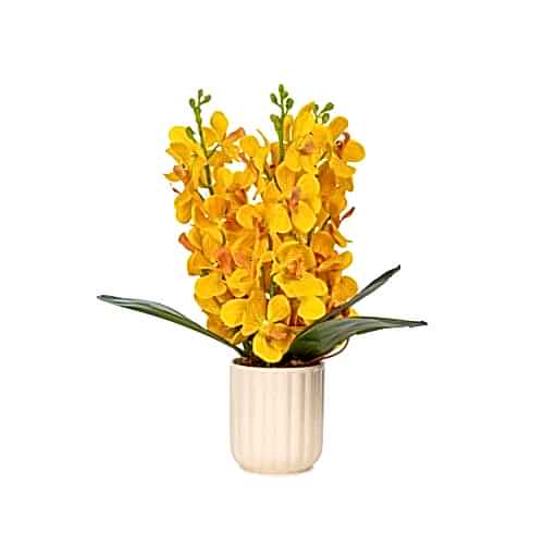 Seramik Vazo Islak Dokulu Sarı Orkide Aranjman (40 CM)