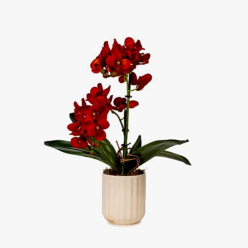 Seramik Vazo Islak Dokulu Turuncu Orkide Aranjman (43 CM)