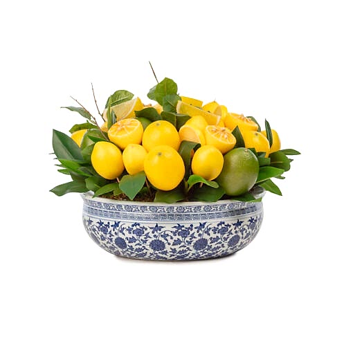 Bleu Blanc Vazo Limon Aranjman (20 CM)