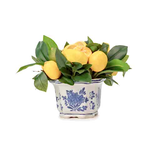 Bleu Blanc Vazo Limon Aranjman (20 CM)