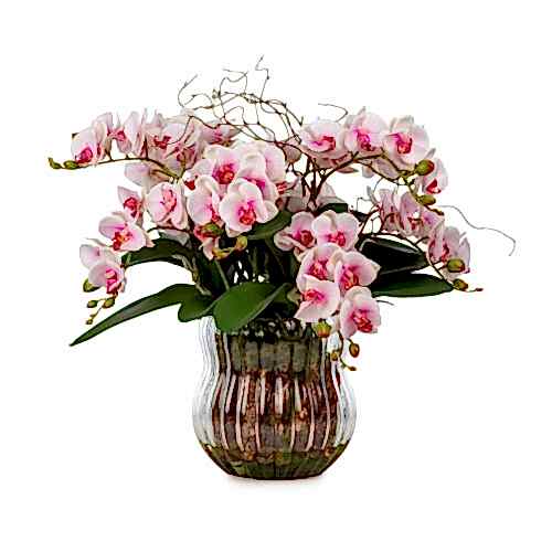 Cam Vazoda Jelli Islak Dokulu Orkide Aranjman (45 CM)