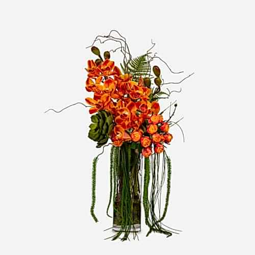 Jelli Uzun Cam Vazoda Turuncu Orkide Aranjman (70 CM)