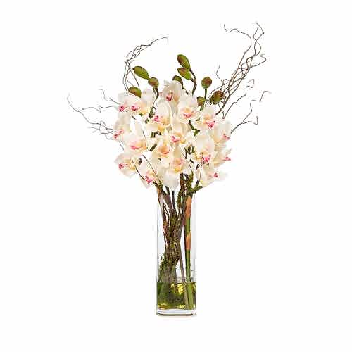 Jelli Uzun Cam Vazoda Islak Dokulu Beyaz Orkide Aranjman (70 CM)