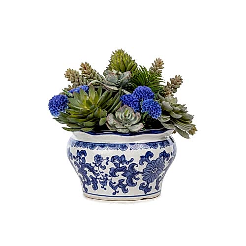 Bleu Blanc Vazo Sukkulent Aranjman (24 CM)