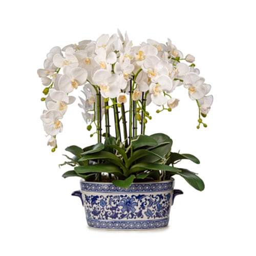 Bleu Blanc Vazo Islak Dokulu Orkide Aranjman (64 CM)