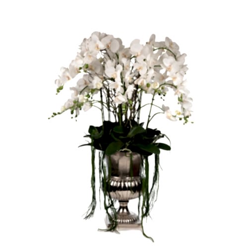 Metal Kupada Islak Dokulu Orkide Aranjman (110 CM)