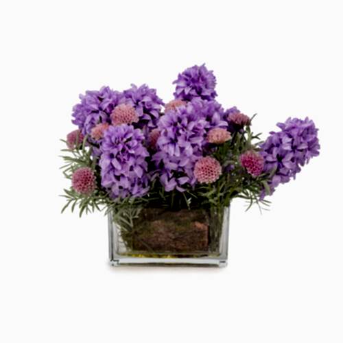 Jelli Cam Vazoda Sümbül Aranjman (35 CM)