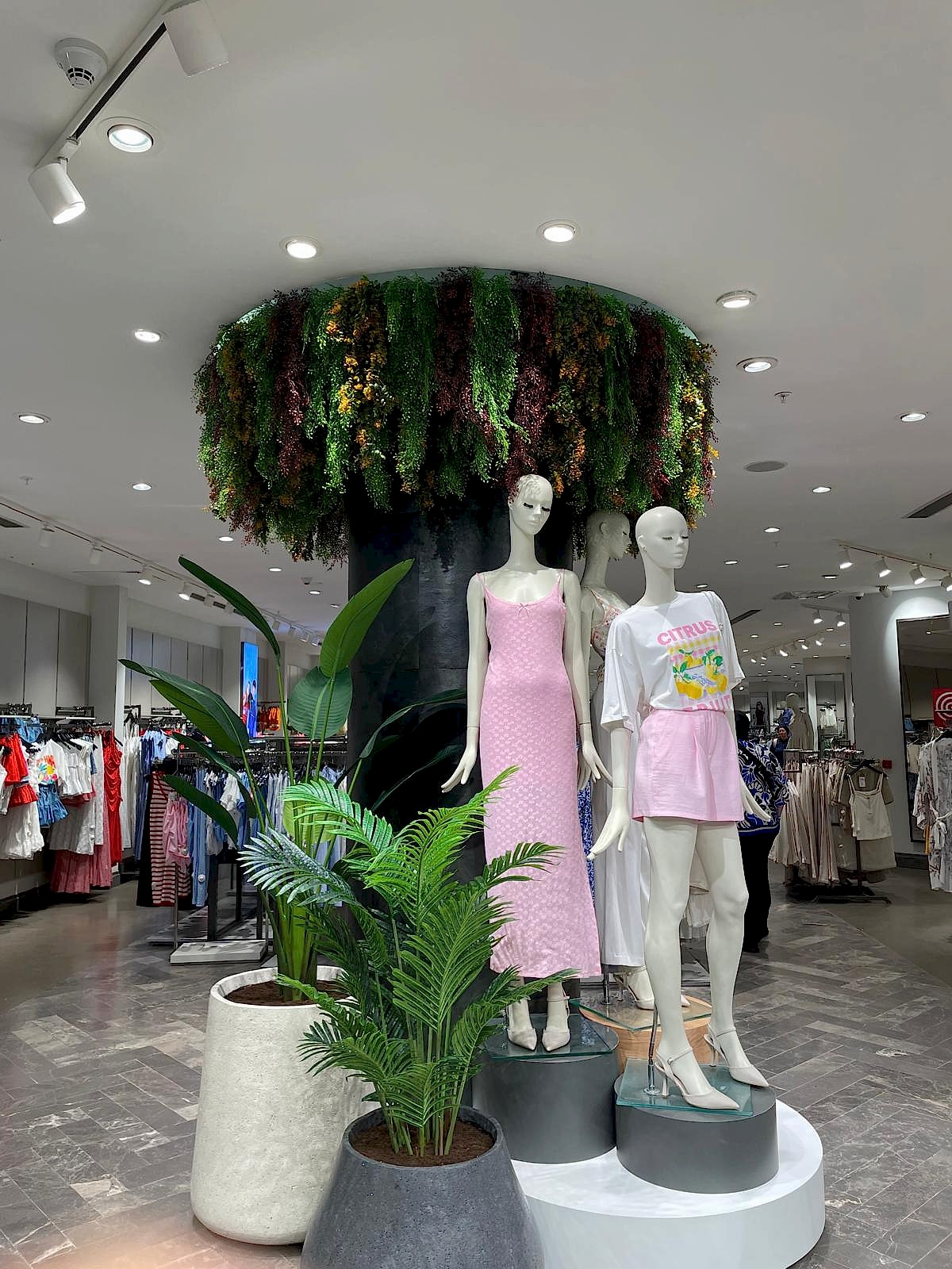 Tavana Sarmaşık Uygulamaları