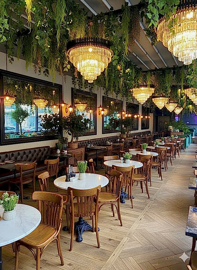 Tavana Sarmaşık Uygulamaları