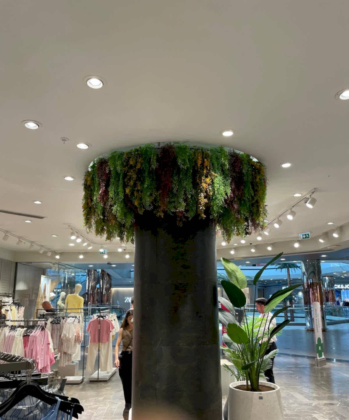 Tavana Sarmaşık Uygulamaları