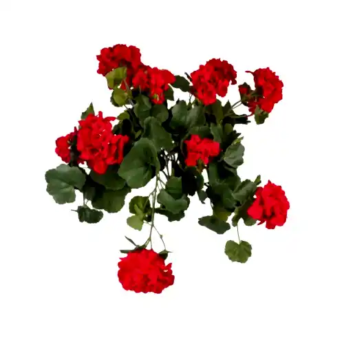 Yapay Sardunya Demet (56 CM)