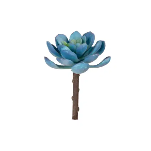 Yapay Echeveria Pick (15 CM)