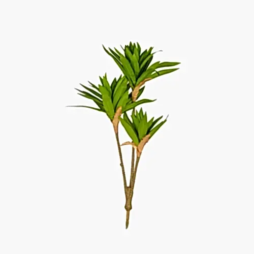 Yapay Dracaena Dal (65 CM)