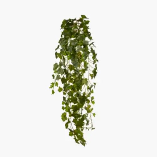 Ivy Hanging Bush (120 CM)