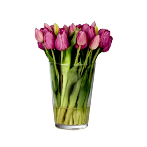 Uzun Cam Vazoda Islak Dokulu Jelli Mauve Lale Aranjman (30 CM)