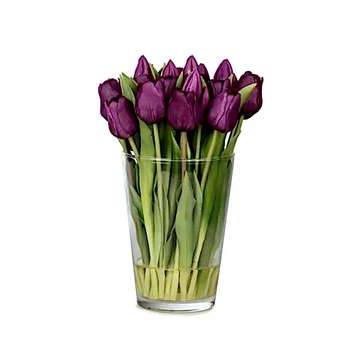 Uzun Cam Vazoda Islak Dokulu Jelli Mor Lale Aranjman (30 CM)
