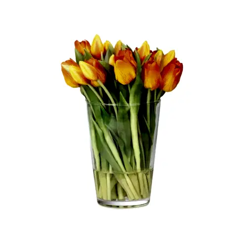 Uzun Cam Vazoda Islak Dokulu Jelli Turuncu Lale Aranjman (30 CM)