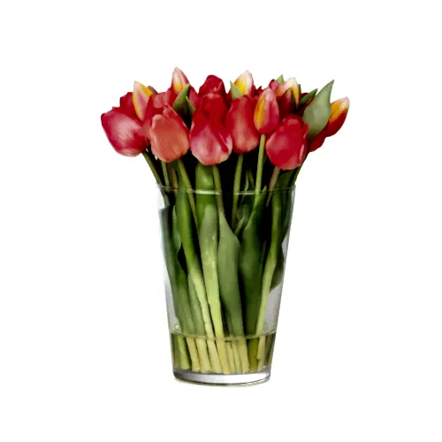 Uzun Cam Vazoda Islak Dokulu Jelli Coral Lale Aranjman (30 CM)