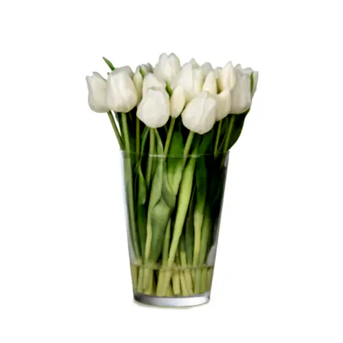 Uzun Cam Vazoda Islak Dokulu Jelli Beyaz Lale Aranjman (30 CM)