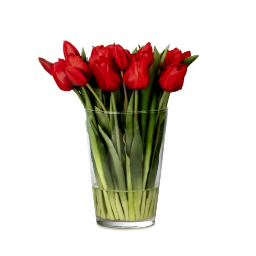 Uzun Cam Vazoda Islak Dokulu Jelli Kırmızı Lale Aranjman (30 CM)