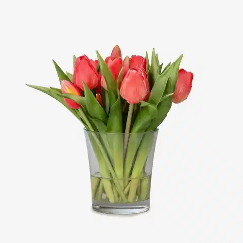 Küçük Cam Vazoda Islak Dokulu Jelli Coral Lale Aranjman (23 CM)