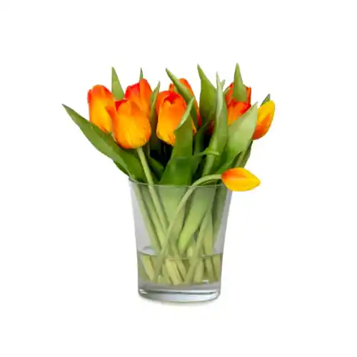 Küçük Cam Vazoda Islak Dokulu Jelli Turuncu Lale Aranjman (23 CM)