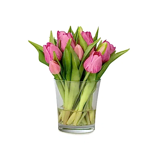 Küçük Cam Vazoda Islak Dokulu Jelli Mauve Lale Aranjman (23 CM)